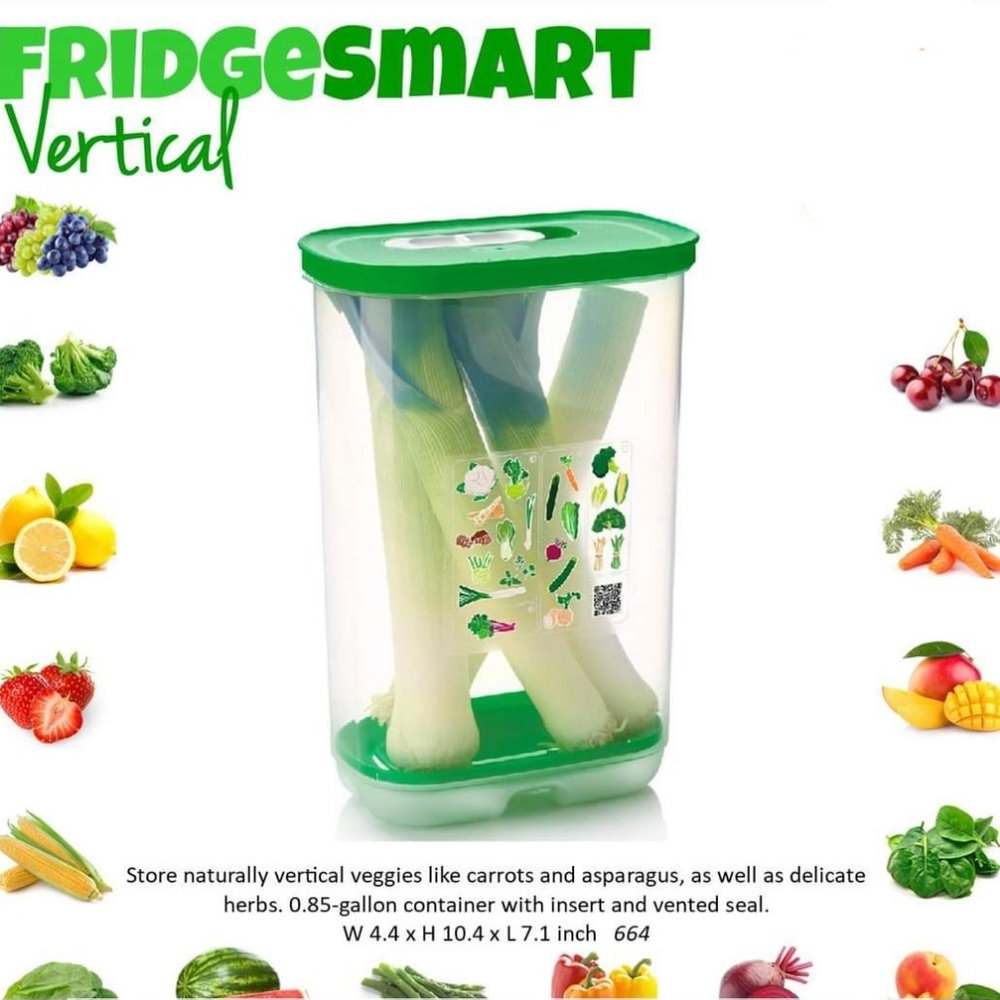 Tupperware vertical fridge smart